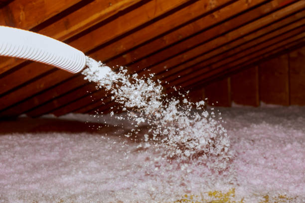 Types of Insulation We Offer in Powdersville, SC