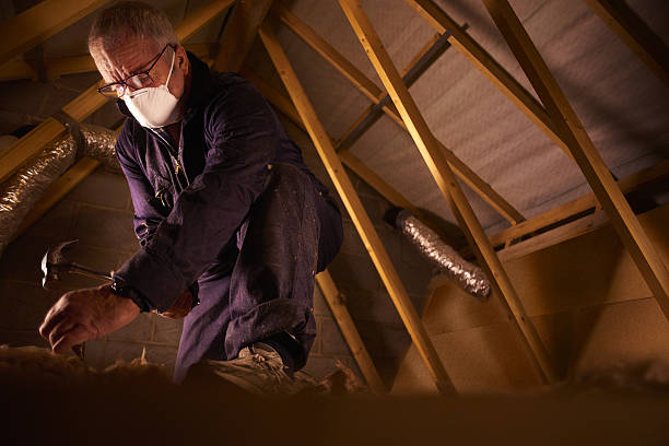 Best Commercial Insulation in Powdersville, SC